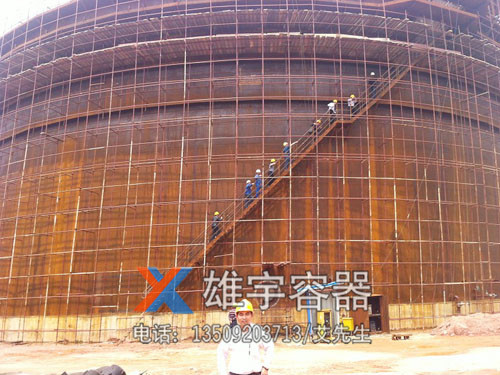 公司領導考察大（dà）型儲罐